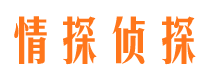 德令哈市调查公司